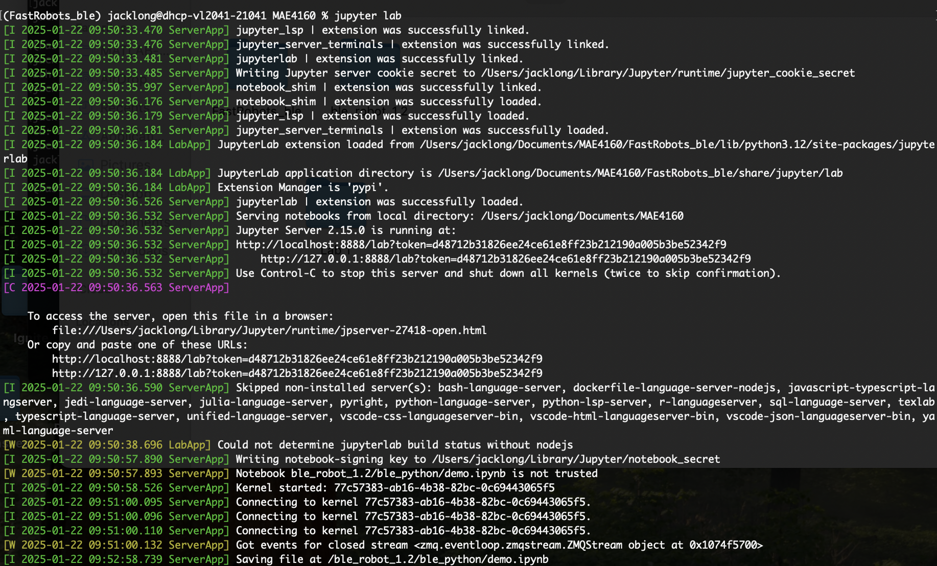 Picture of successful Jupyter serve